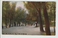 Elmira New York Lake Drive in Eldridge Park street & tree view 1913 NY POSTED picture