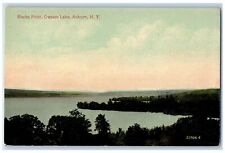 c1910's Bird's Eye View Buck's Point Owasco Lake Auburn New York NY Postcard picture