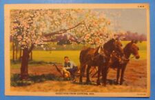 Vintage Postcard 1947 ~ Greetings From Corning AR Arkansas picture