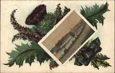 Elgin Scotland Cooper Park Thistle Border c1910 Postcard picture