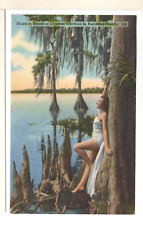 Linen Postcard Study in Knees Cypress Gardens Florida FL Beautiful Woman-VR1 picture