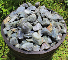 1/4 lb Bulk Lot Natural Rough Labradorite (Raw Rock Stone 1/4 Pound, 4 oz) picture