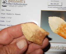 A very pretty PALEO TRANSITIONAL  PELICAN POINT  with   JIM BENNETT COA     C541 picture
