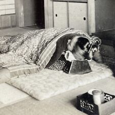 Antique 1910s Traditional Japanese Bed And Pillow Stereoview Photo Card P3703 picture