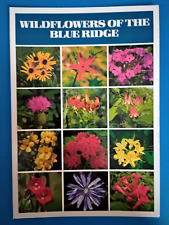 POSTCARD OF THE WILDFLOWERS OF THE BLUE RIDGE picture
