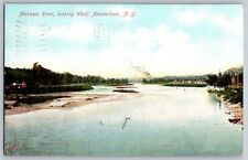 Amsterdam, New York - Mohawk River, Looking West - Vintage Postcard - Posted picture