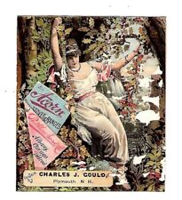 c1890's Trade Card Charles J. Could, Acorn Stoves, Plymouth, NH, Victorian Lady picture