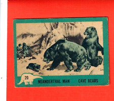 1961 NU-CARDS  DINOSAUR SERIES   #20  NEANDERTHAL MAN picture
