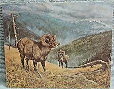 Bighorn Sheep Vintage 16x20 Color Print Stretched on Wood Frame FREE S/H picture