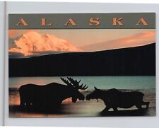 Kissing Mouse Mount Mt McKinley in Background Sunrise Sunset Alaska AK Postcard picture