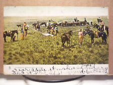 c1905 UDB Postcard - Art Western Cowboys with Horses Branding Cattle - TUCK card picture