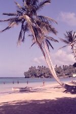 Vintage Photo Slide 35mm 1963 Jamaica Beach Palm Trees picture