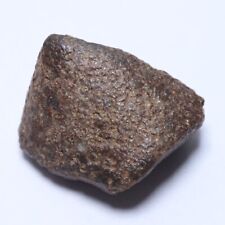 98g NWA meteorite, an unclassified chondrite N3631 picture