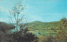 Vintage Maryland Chrome Postcard Deep Creek Lake Bridge McHenry Area picture