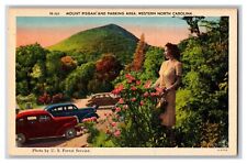 Postcard Mount Pisgah Parking Lot Asheville NC Old Car Beautiful Woman Wild Rose picture