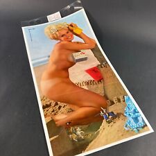 VINTAGE JUNE 1967 PLAYBOY MAGAZINE CENTERFOLD PLAYMATE POSTER JOEY GIBSON picture
