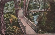 Oakland, CA: 1911 Mills College Oleny Way - Vintage California Postcard picture
