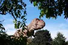 Schleich Toy Giganotosaurus Dinosaur 4.1 x 7.9 x 7.1 inch picture