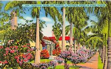 Largo FL Florida Keys Palm Avenue Mansions Tropical Homes Fauna Vtg Postcard B10 picture
