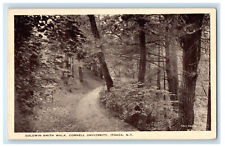 c1940s Goldwin Smith Walk, Cornell University, Ithaca New York NY Postcard picture