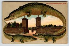 Alligator Border Florida Postcard St Augustine Old City Gate Three Gators 1912 picture