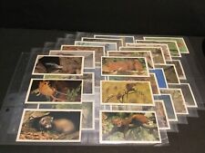1984 Grandee / Player Britain's Endangered Wildlife Set of 32 Cards Sku271S picture