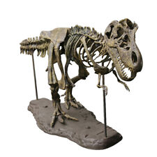 Dinosaur Skeleton Fossil Puzzle Children Toys Animals 4D Model Decoration picture