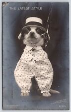 The Latest Style Cute Little Dog In Polka Dots White Shirt Attire Postcard picture