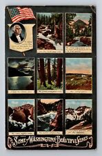 WA-Washington, Scenes of Washington, Greetings, Antique Vintage Postcard picture