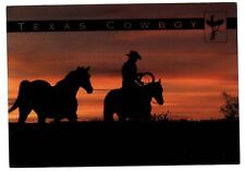 Texas sunset silhouette Cowboy Horse Western Americana unused vintage postcard picture