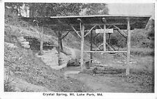 Mountain Lake Park Maryland~Crystal Spring~Rickety Covering~1920s B&W Postcard picture