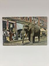 Postcard Rockland Maine Circus Day, Elephant  picture