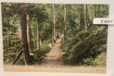 1911 BEDFORD SPRINGS HOTEL PA. RARE MOUNTAIN TRAIL HANDCOLORED GERMAN POSTCARD picture