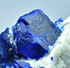 133 Grams Royal Blue Lazurite Crystals With Pyrites On Matrix From Afghanistan picture