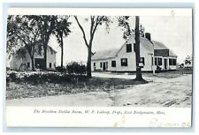 1905 The Brockton Dahlia Farm, East Bridgewater Massachusetts MA Postcard picture