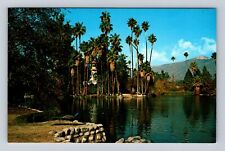 Arcadia CA-California, Los Angeles State And County Arboretum, Vintage Postcard picture