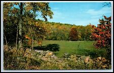 Postcard A Country Scene Greetings From Acra NY T34 picture