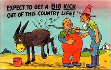 VINTAGE POSTCARD EXPECT TO GET A BIG KICK OUT OF THE COUNTRY LIFE - US HUMOR picture