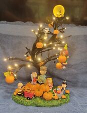 Bradford Exchange Peanuts It's The Great Pumpkin Charlie Brown ILLUMINATED  picture