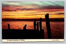 A Serene Evening In Florida Sunset Vintage Unposted Postcard picture
