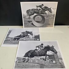 Vintage Equestrian Show Jumping Photos, (3) 8x10 Horse And Rider Photographs picture