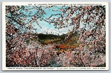 Washington~Distant View Of Mt Cashmere From Wenatchee Valley~Vintage Linen PC picture