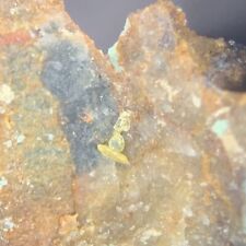 Small Molybdofornacite Crystal Micro Dulcinea Mine Carrera Pinto CHILE picture