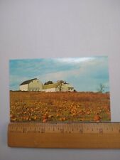 Postcard - Autumn in the Amish Country - Pennsylvania picture