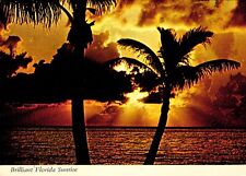 Brilliant Florida Sunrise Postcard picture