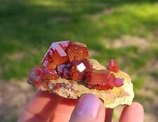 Vanadinite Large Bright Red Hoppered Crystals On Matrix From Morocco   7.2  Cm's picture