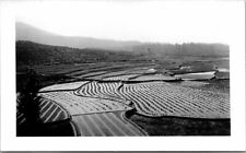 Rice Paddies Rural Farm Landscape 1952 US Army Korean War Vtg Snapshot picture