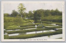State View~Big Rapids Michigan~State Fish Hatchery~Vintage Postcard picture