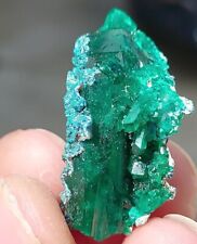 HUGE DIOPTASE WITH QUARTZ & SHATTUCKITE FROM CONGO DRC 60 CARATS picture