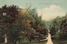 Paths to College Hill Lewisburg Pennsylvania PA c1910 Postcard picture